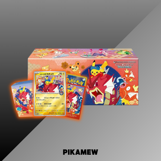 日本 廣島寶可夢中心比卡超禮盒