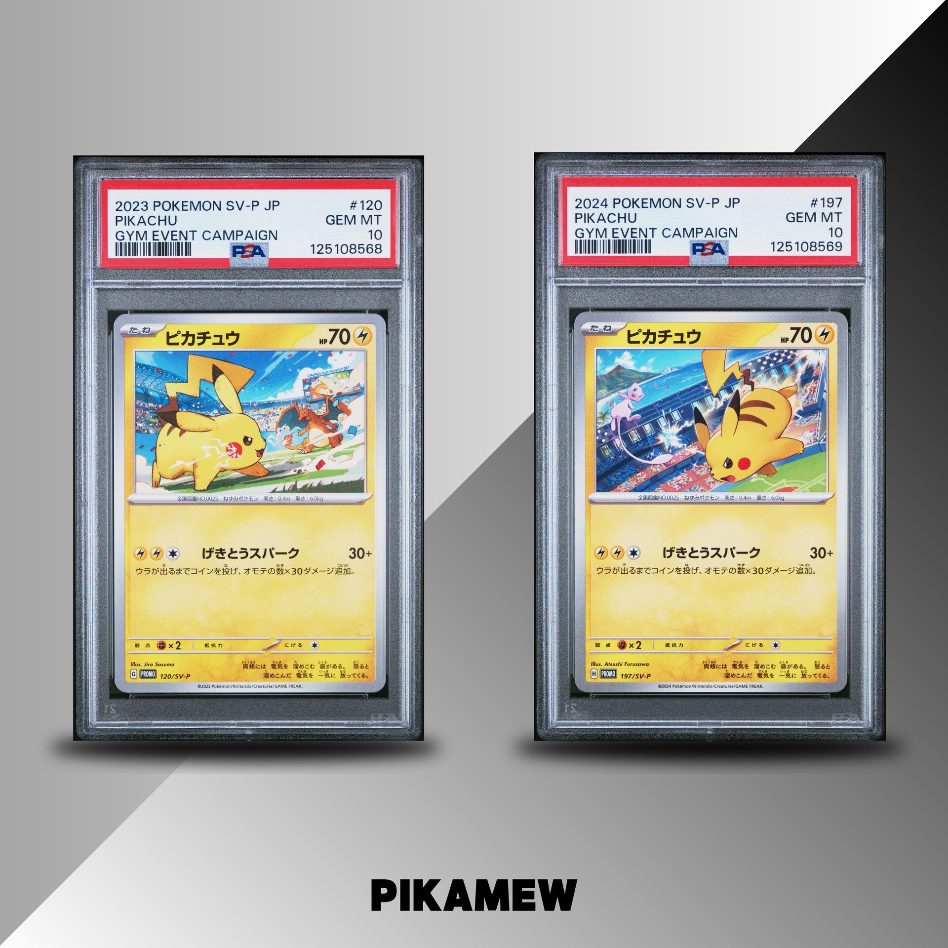 PSA 10 2024 POKEMON JAPANESE SV-P PROMO PIKACHU GYM EVENT CAMPAIGN