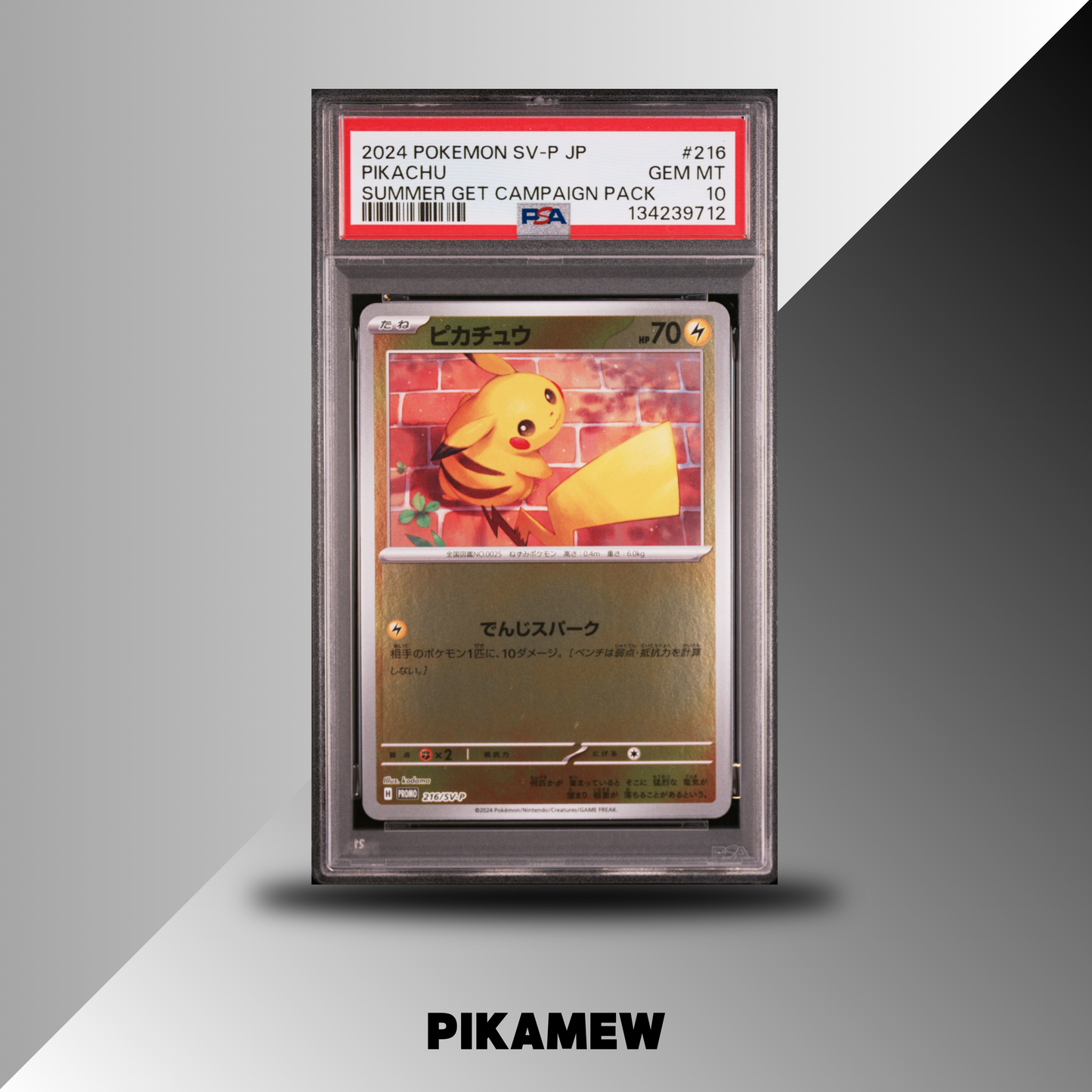 PSA 10 2024 POKEMON JAPANESE SV-P PROMO #216 PIKACHU SUMMER GET CAMPAIGN PACK