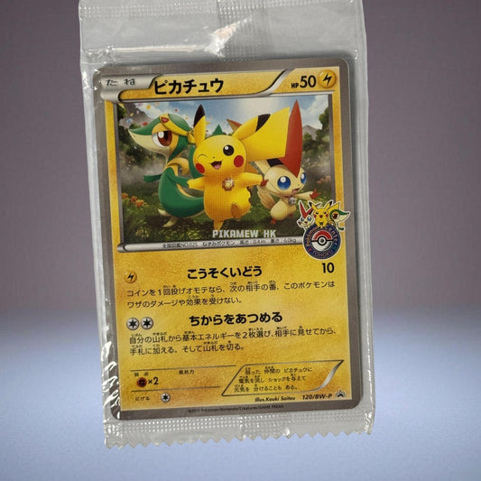 120/BW-P Pikachu P (Promotional Cards "Pokemon Center Tohoku Opening Commemorative Gifts")